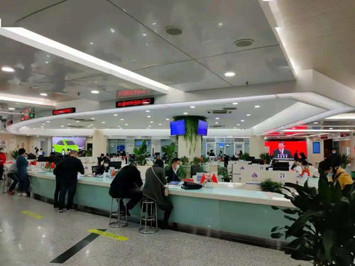 市登记中心学党史办实事 登记速度再提升 数据处理服务优化升级